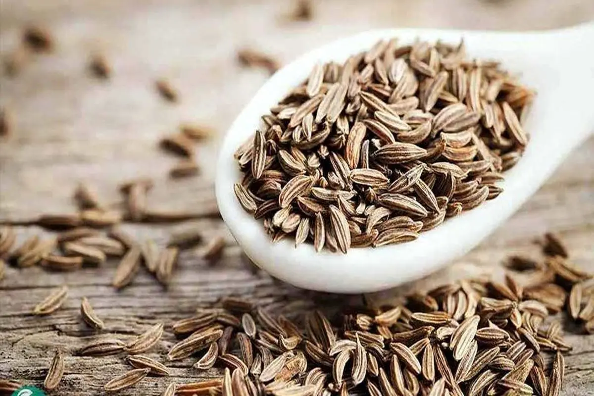 گیاهی با قدرت درمانی فوق‌العاده؛ خواص ضدسرطان این دارو تأیید شد