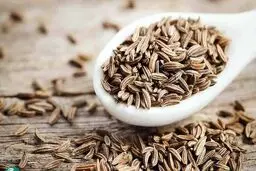 گیاهی با قدرت درمانی فوق‌العاده؛ خواص ضدسرطان این دارو تأیید شد
