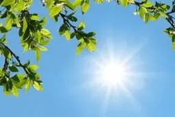 پیش بینی هوای استان همدان فردا پنج شنبه 12 تیرماه/تداوم آسمان صاف و آفتابی 