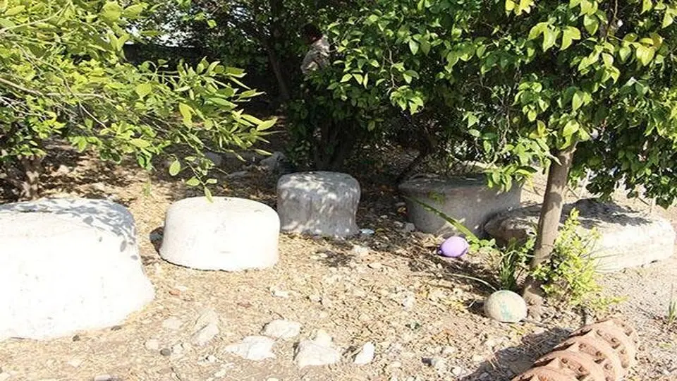 پایه ستونهای ساسانی در خانه شخصی یک روستایی+ عکس