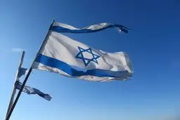 چه باید کرد
