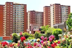 خانه‌دار شدن خبرنگاران نه طرح و لایحه که همت وزارت ارشاد را می‌طلبد


