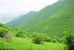 جنگل دیزمار و ورزقان کجاست؟/ بالگرد رئیسی و همراهانش در کدام منطقه دچار سانحه شد؟
