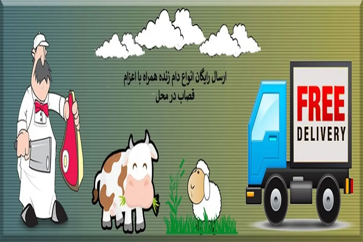 همه چیز در خصوص گوسفند زنده

