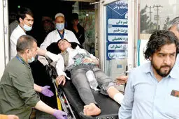 زخمی که توحش  می‌زند

