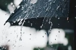 پیش بینی هوای مازندران فردا چهارشنبه 31 تیر/ فعالیت سامانه بارشی در استان
