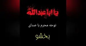 نوحه زیبا و تاریخی بخشوی بوشهری که ملی شد+ ویدئو