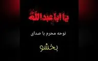 نوحه زیبا و تاریخی بخشوی بوشهری که ملی شد+ ویدئو