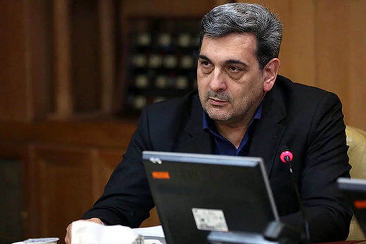 انتقاد پیروز حناچی به طرح مجلس در مورد اشیاء باستانی