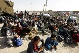 امکان صدور مجوز کسب و کار برای اتباع خارجه از درگاه ملی مجوز‌ها فراهم شد