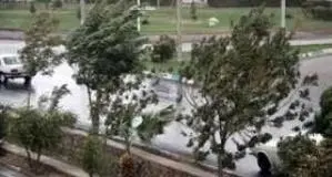 پیش بینی هوای گیلان فردا پنجشنبه 18 دی/ وزش باد گرم شدید تا پیش از ظهر شنبه