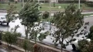 پیش بینی هوای گیلان فردا پنجشنبه 18 دی/ وزش باد گرم شدید تا پیش از ظهر شنبه