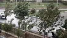 پیش بینی هوای گیلان فردا پنجشنبه 18 دی/ وزش باد گرم شدید تا پیش از ظهر شنبه