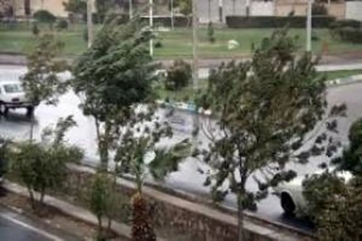 پیش بینی هوای گیلان فردا پنجشنبه 18 دی/ وزش باد گرم شدید تا پیش از ظهر شنبه