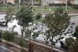 پیش بینی هوای گیلان فردا پنجشنبه 18 دی/ وزش باد گرم شدید تا پیش از ظهر شنبه