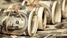 ارز ترجیحی کالاهای اساسی حذف می‌شوند؟


