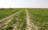 آبگیری حدود ۳۰ درصدی تالاب و مراتع جازموریان در جنوب کرمان 
