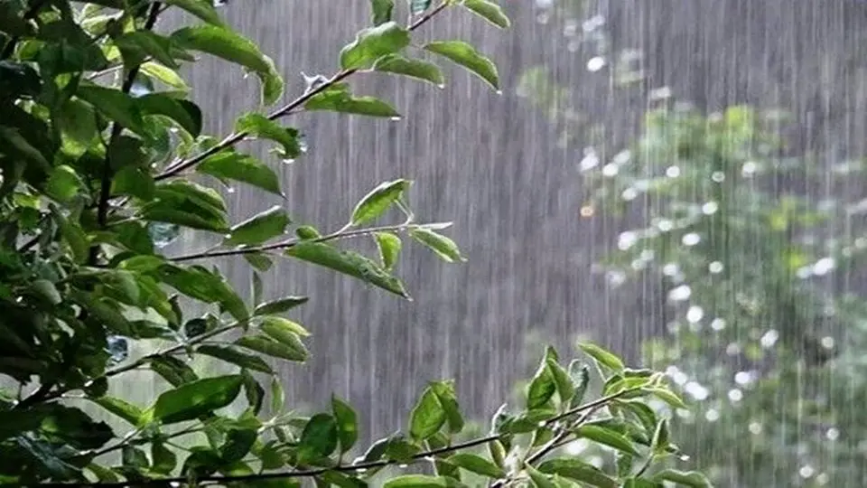 بارش باران و کاهش دما در استان‌های شمالی طی روز جاری
