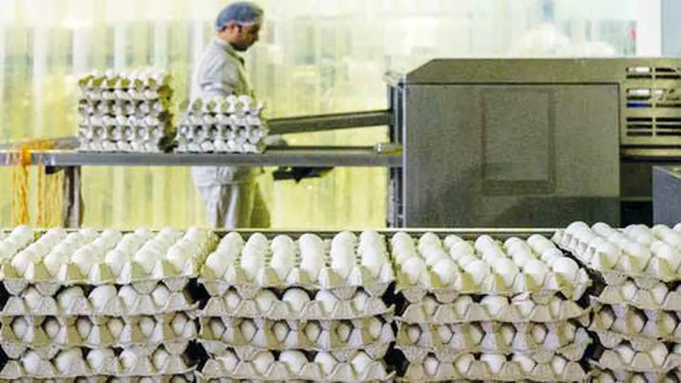 قیمت  تخم‌مرغ  حداکثر  ۹۰  هزار  تومان

