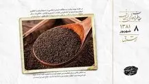 پیگیری انتقال تکنولوژی چای باروتی کنیا و تانزانیا