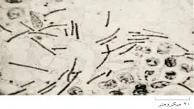 چرا به علم اعتماد کنیم؟(4)