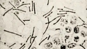 چرا به علم اعتماد کنیم؟(4)