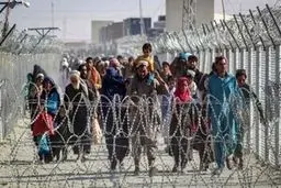 اولین واکنش وزیر کشور به ممنوعیت ورود اتباع افغان به 16 استان کشور

