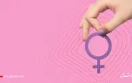 قانون، فرهنگسازی می‌کند