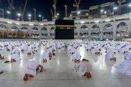 ۸۱ درصد حاجیان ایرانی به سرزمین وحی رسیدند