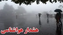 جولان خودروهای چینی در سازمان هواشناسی
