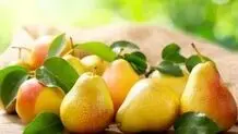 خواص عالی میوه گلابی در سلامت