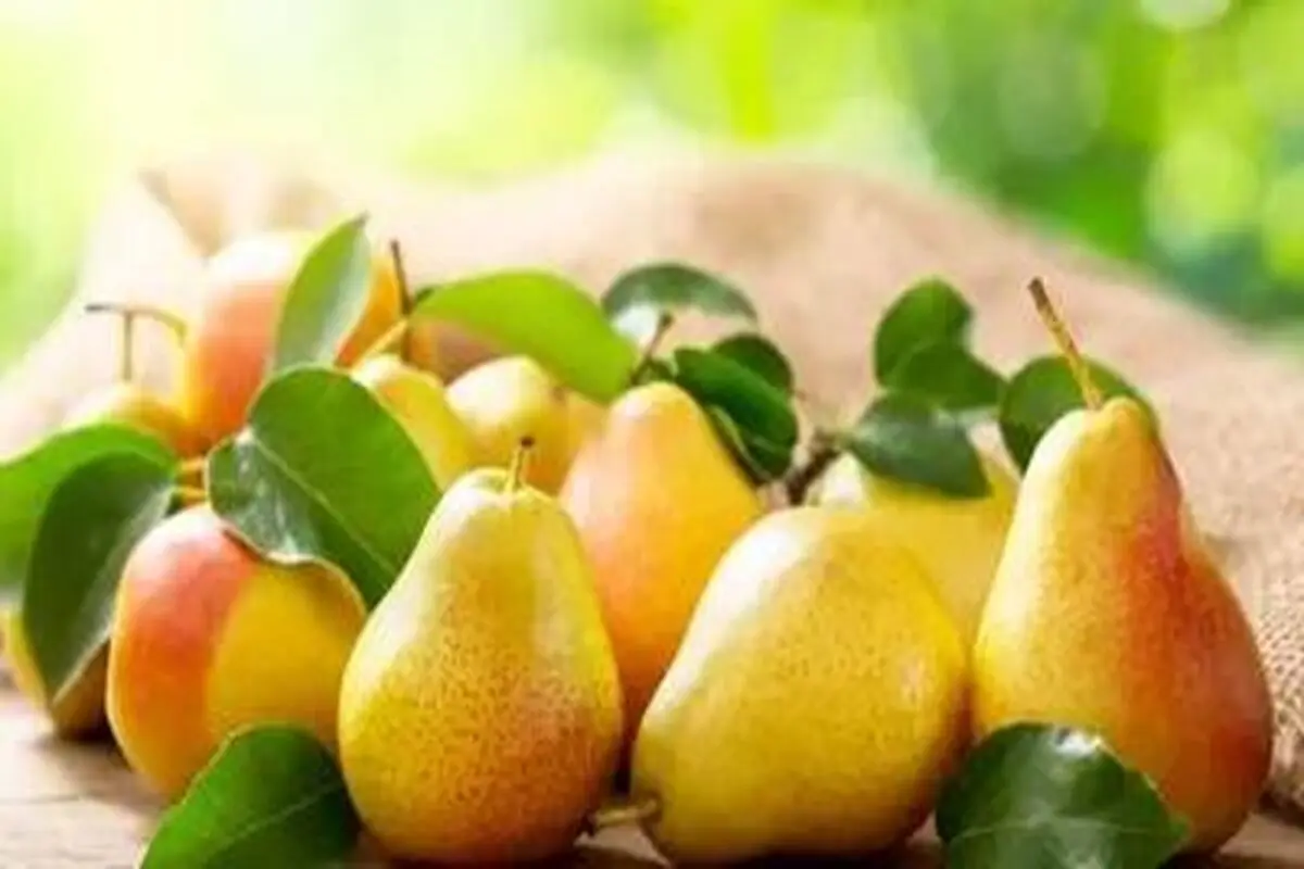 خواص عالی میوه گلابی در سلامت