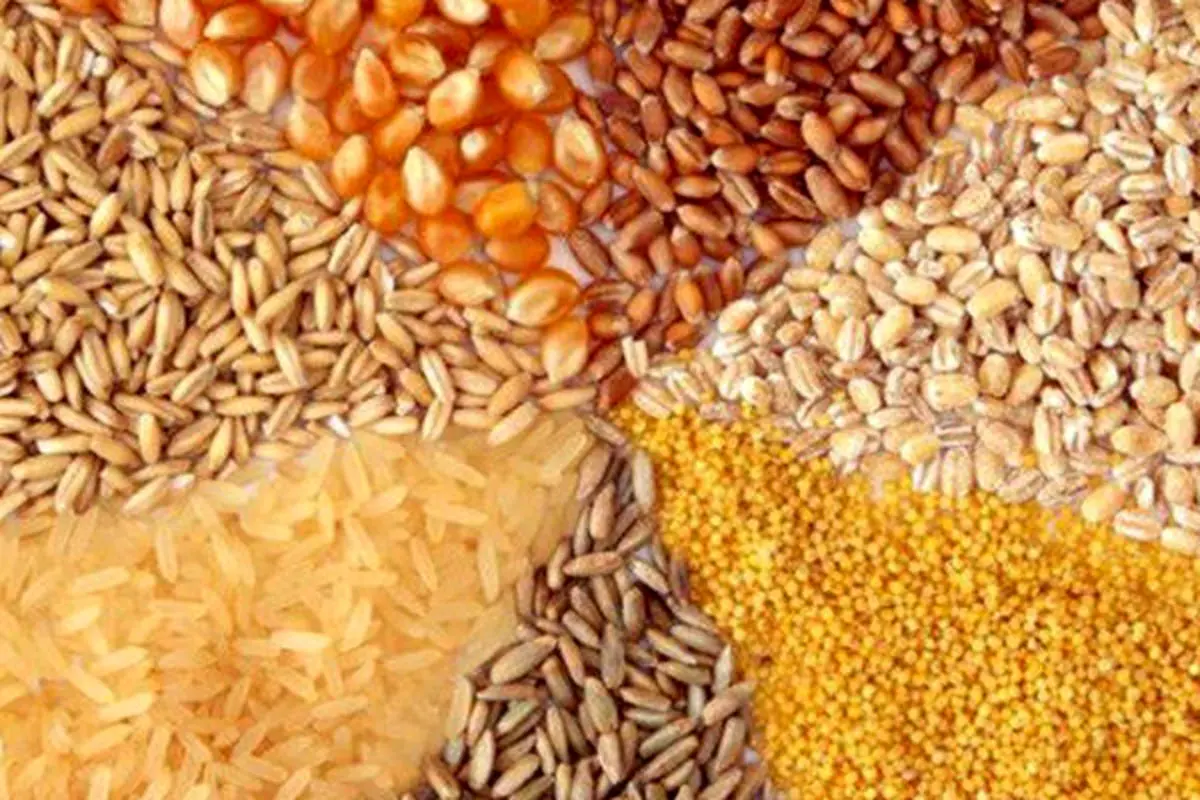 سقف جدید نرخ ارز نهاده‌های دام و طیور اعلام شد

