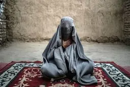 اعلام فهرست برندگان پولیتزر ۲۰۲۵ در روزنامه‌نگاری و عکاسی خبری
