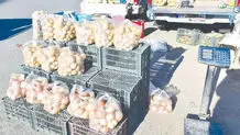 رؤیای داغ کار