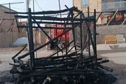 دستگیری عاملان سوزاندن نخل تاریخی اردستان

