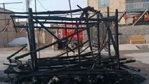 دستگیری عاملان سوزاندن نخل تاریخی اردستان

