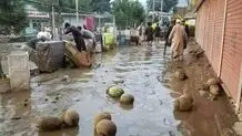 سیل در افغانستان ده‌ها و کشته و مجروج برجای گذاشت