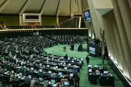 این دو نماینده مجلس با هم ازدواج کردند؟‌+ عکس