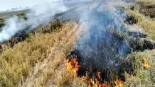 تلاش برای مهار آتش سوزی در ارتفاعات ارغوان ایلام ادامه دارد