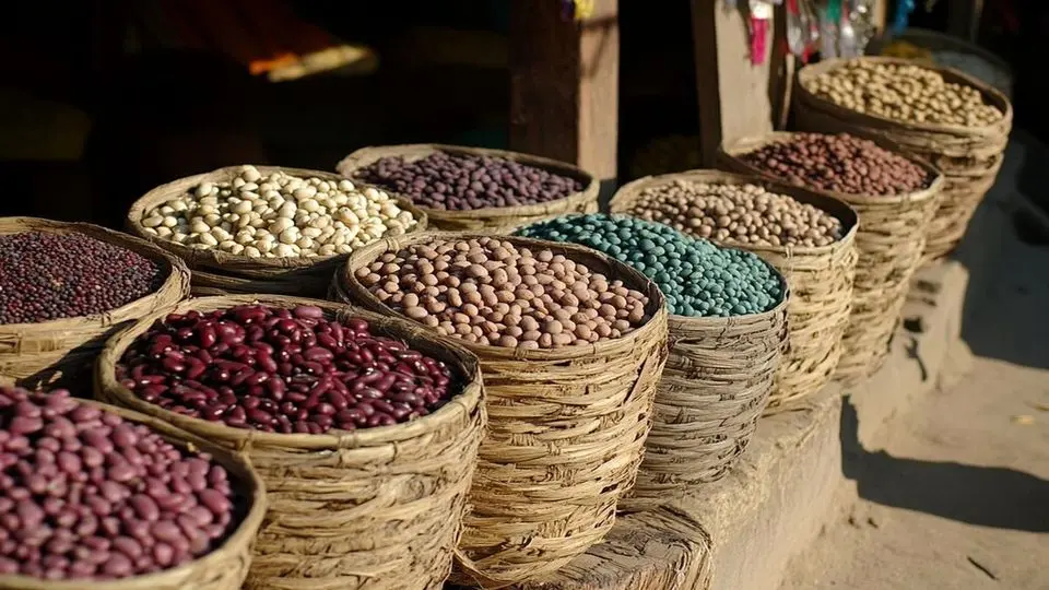 قیمت حبوبات امروز ۷ خرداد ۱۴۰۴+جدول