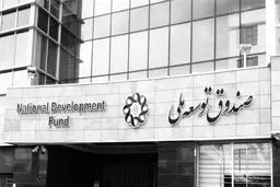 توجه صندوق توسعه ملی به الگوهای موفق جهانی؛ آری یا خیر؟