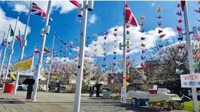 درنا و قلب برای کودکان میناب