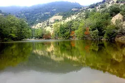 نگاهی حقوقی به آنچه  در الیمالات می‌گذرد
