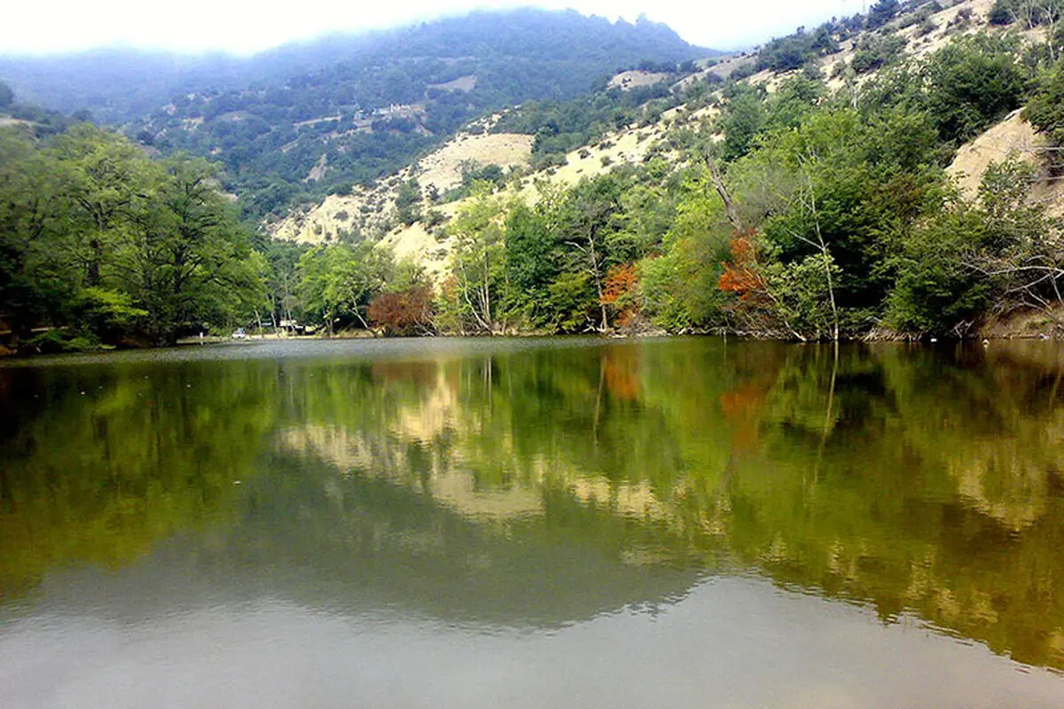 نگاهی حقوقی به آنچه  در الیمالات می‌گذرد
