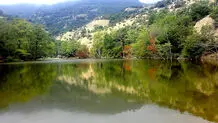 نگاهی حقوقی به آنچه  در الیمالات می‌گذرد

