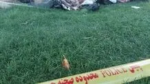 کشف جسد تکه تکه شده یک مرد در تهران