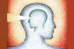 قرن گم‌شده
