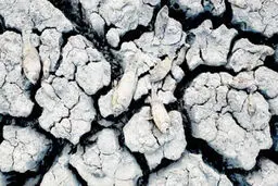 آمارهای تکان‌‌دهنده از مصرف آب در ایران

