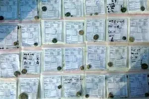 ۱۰۰ سکه تاریخی مهم در اصفهان کشف شد